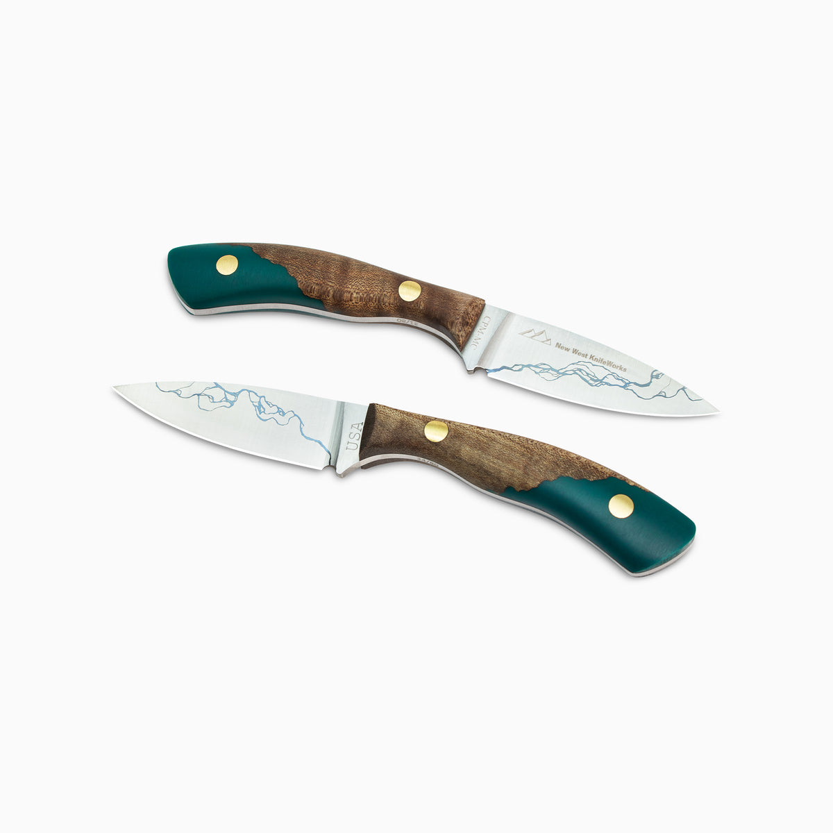 Snake River Bird and Trout