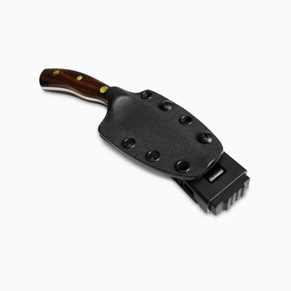 2.5" Bird and Trout 2.0 - MagnaCut