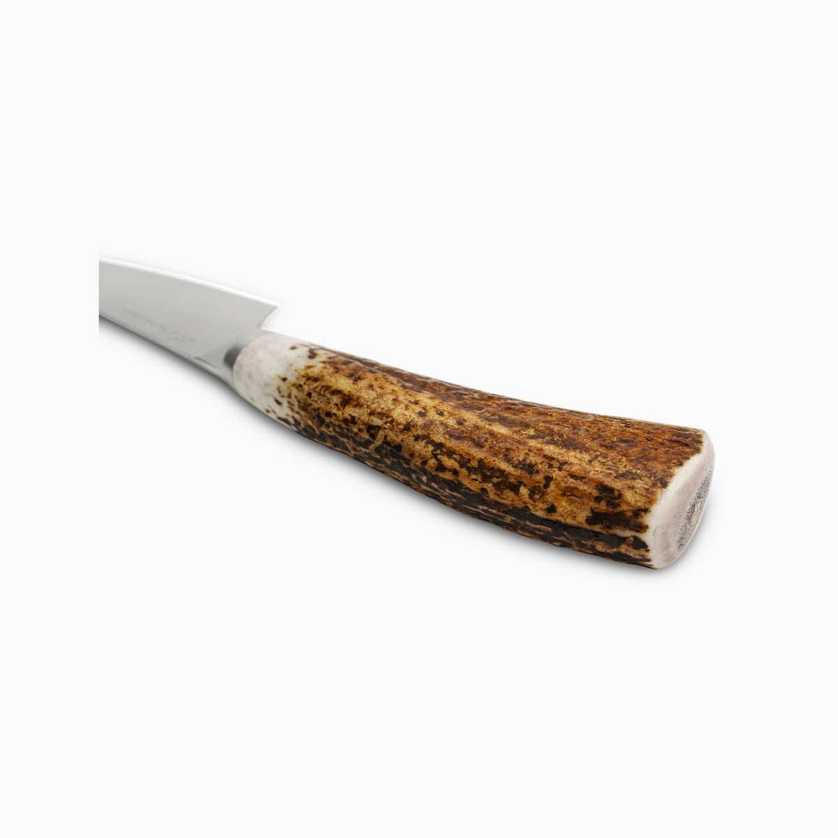 Elk Antler 6" Petty
