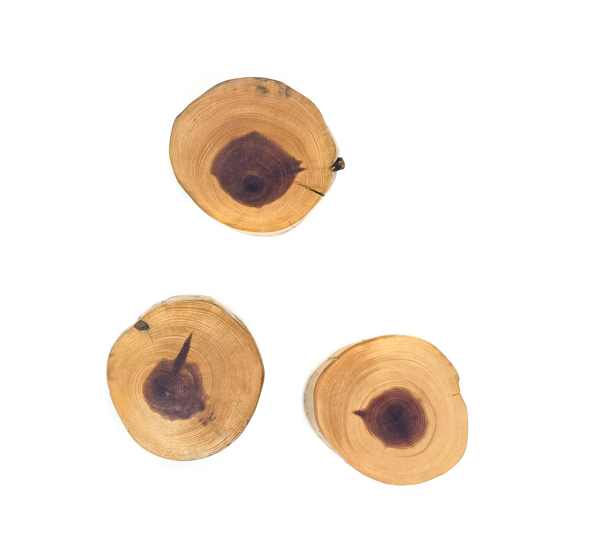 Desert Juniper Round Knife Magnet